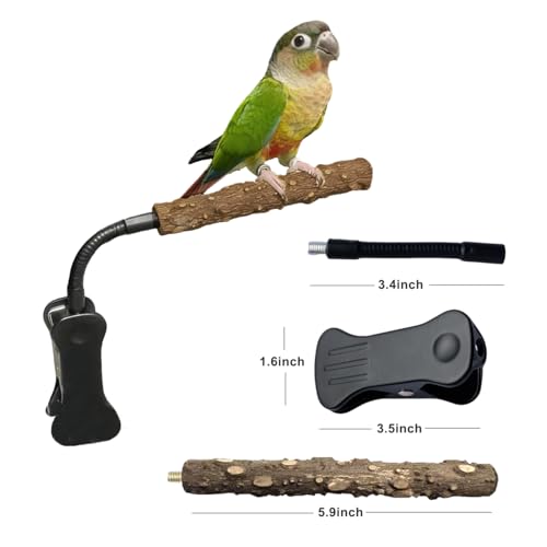 Parrot Bird Perch Stand with Clip,Adjustable & Portable Parrot Stand,Bird Training Stand for Cockatiels, Conures, Lovebirds and Medium & Small Parrots(Rough) - color: rough
