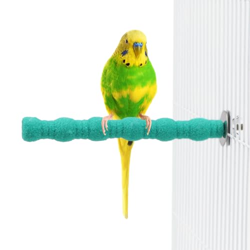 Litewoo Pet Bird Perch Parrot Rough-surfaced Stand Toy Branch Nature Wood Quartz Sand Branches Nail Perch for Small Medium Birds Cockatiel Parakeet Conure Cage Accessories (Green, 6.3in) - color: Green, 6.3in