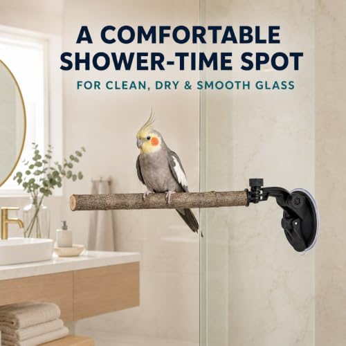 2 PCS Parrot Perch Stand, Movable Perch Stand Bird Training Set, Wood Parrot Perch Stand with Strong Suction Cup for Cockatoo, Macaw, Parakeet, Window Mirror Car Shower Ceramic Tiles Bath