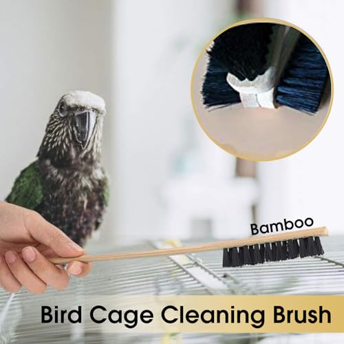 QBLEEV 3 Pack Bird Cage Brush, Long Handle Poop Off Birdcage Cleaner Brush | Wooden & stainless steel bird cage cleaning brushes set, universal cage scraper, durable parrot poop remover accessories