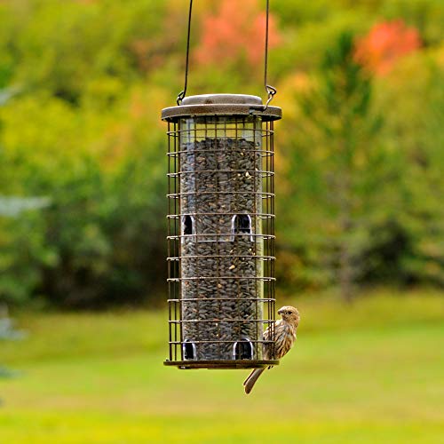 Perky-Pet 114 Squirrel Stumper Wild Bird Feeder