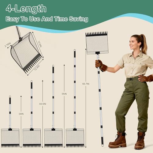 Chicken Poop Scooper & Rake 2-in-1，Litter Sifting Shovel，Metal Chicken Coop Scoop with Adjustable Handle(34" to 65") for Chicken Run, Animal Farm, Duck Coop Black