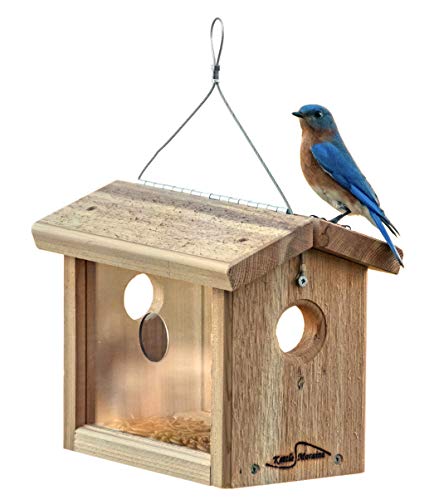 Cedar Hanging Bluebird Mealworm Feeder