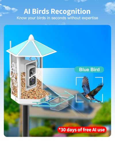 Onlyfly Metal Bird Feeder with Camera and 74.5 Inch Pole - Smart Camera Bird Feeder Solar Powered with 2k Live Stream for Backyard, Ai Identify Auto Capture Videos, Gifts for Birdlover Mom Dad - color: Light blue