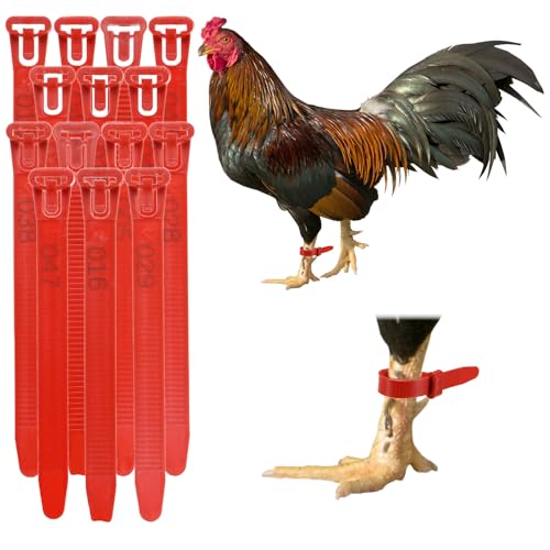 M METERXITY 100-Pack Adjustable Chicken Leg Bands, 10-28 mm Plastic Poultry Identification Chicken Leg Rings for Turkey/Duck/Goose/Chicks, Colorful Numbered Foot Clip on Tags [Red] - color: Red