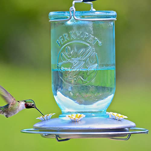 Perky-Pet Mason Jar Hummingbird Feeder, 32 oz Nectar Capacity | Vintage Style Glass Bird Feeder, 5 Flower Feeding Ports, Outdoor Garden Backyard Wildlife - color: Blue Mason Jar