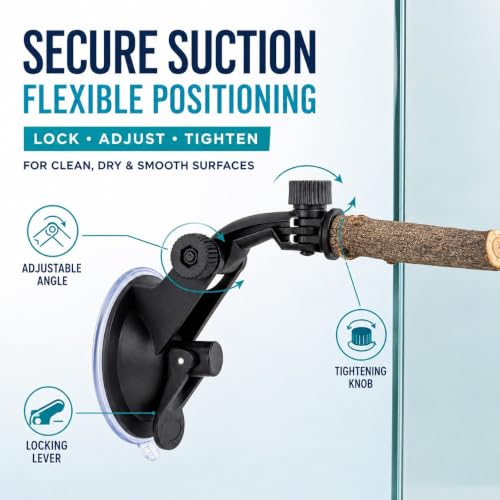 2 PCS Parrot Perch Stand, Movable Perch Stand Bird Training Set, Wood Parrot Perch Stand with Strong Suction Cup for Cockatoo, Macaw, Parakeet, Window Mirror Car Shower Ceramic Tiles Bath