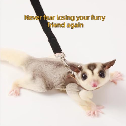 MANON ROSA Sugar Glider Harness and Leash Set, Adjustable 3 Pcs Vest, Orange - color: 01 Orange
