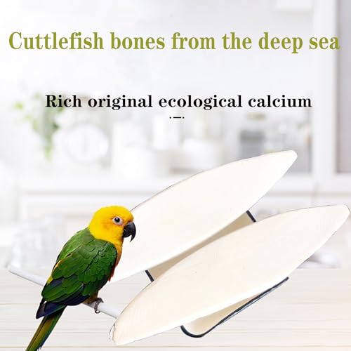 4.7-5.1'' Cuttlebone for Parakeets Cuttlebone for Birds - Natural Cuttlefish Bone Bulk Chew Toy Bird Bites Calcium Stone for Canaries Tortoises,Snails,Reptiles,Parrots,Cockatiel-20PCS - size: 20PCS