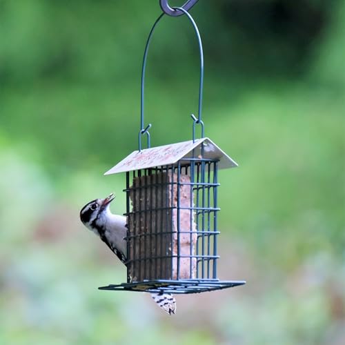 Wild Wings Decorative Metal Suet Cage Feeder for Outdoor Décor Wild Bird Feeders, 1 Suet Cake Capacity, Hanging Suet Feeder, Black