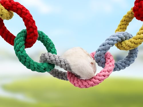 Dnoifne Sugar Glider Hanging Twelve-Ring Climbing Toys, Colorful Swing Toys, Cage Accessories for Ferret Hamster Squirrel Chinchilla Parrots - size: 12 rings(42.1 Inch)