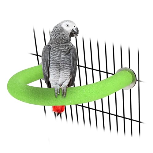 Rypet U-Shaped Large Parrot Perch, Quartz Bird Perch for Cage(Green L) | Safe Chew & Rest Perch for Large Birds, Durable Non-Toxic Cage Accessory, for Parakeets Cockatiels Conures Macaws - color: Green, size: Large