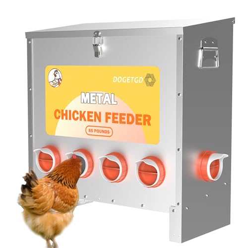Automatic Chicken Feeder No Waste Metal Poultry Feeder Large Capacity 85 lbs for Chickens, Geese, Ducks, Turkeys, Quails (6-Port) - size: 6-Port