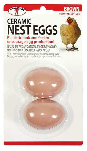 Little Giant® Large Egg Basket Kit | Chicken Egg Basket with Ceramic Eggs | Egg Collecting Basket Kit (Brown Eggs, Large Basket (13 Inches)) - color: Brown Eggs, size: Large Basket (13 Inches)