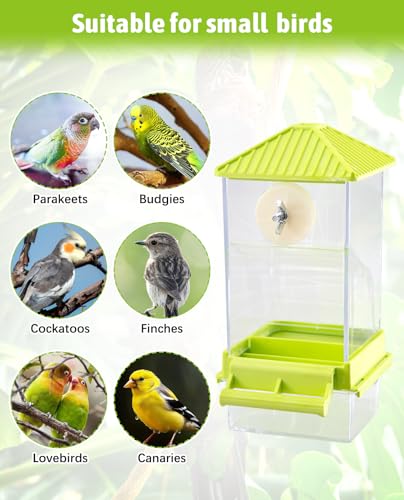 Hamiledyi Automatic Bird Feeder No Mess Bird Cage Feeder Seed Food Container with Perch Transparent Parrot Cage Accessories for Parakeets, Budgies, Cockatoos, Finches, Lovebirds, Canaries (Green) - color: Transparent Green + Perch