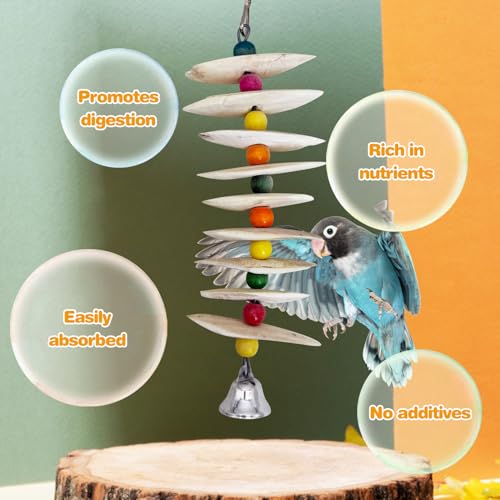 PINVNBY 2 Pack Natural Bird Toys with Cuttlebone Calcium Parakeet Chewing Toy Hanging Bird Beak Grinding Stone Cage Accessories for Parrot Budgie Lovebird Cockatiel (Large) - size: Flaky