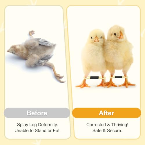 M METERXITY 100-Pack Adjustable Chick Leg Bands, 1.38" x 0.2" Polyester Chicken Leg Brace for Chicks/Ducks/Birds [Light Yellow] Poultry Leg Bands - color: Light Yellow