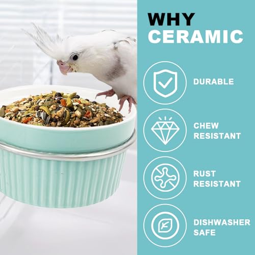 Bird Feeding Cups Parrot Food Cage Bowl Clamp Holder Coop Cup, Ceramic Bird Cage Water Bowl, Pet Feeder Cage for Parakeet African Greys Conure Cockatiels Lovebird Budgie-Blue - color: blue