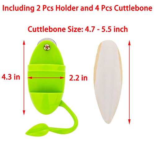 2 Pcs Cuttlebone Holder for Bird Cage - Bowl Stand Food Holder with 4 Pcs Cuttlebone for Parrot, Budgie, Conure (4.7-5.5 inch)