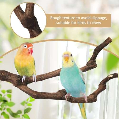 PINVNBY 3 Sizes Natural Parrot Perch Grape Wood Bird Stand Pole Parakeet Paw Grinding Fork Chewable Climbing Branches Toy Bird Cage Accessories for Budgies Conures Cockatiels Lovebirds - size: 5.9+7.9+9.8in