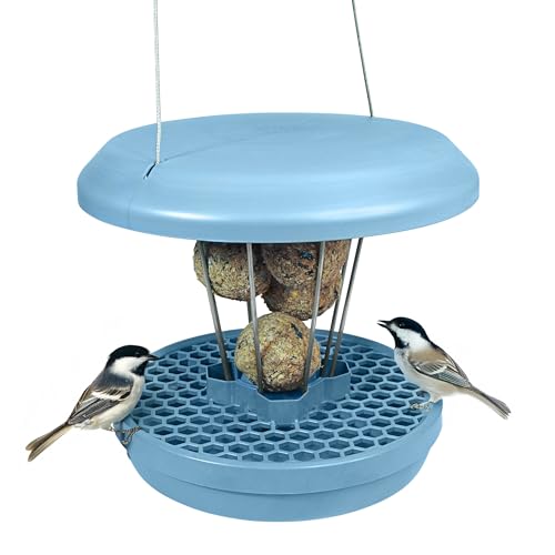 SWISSINNO Bird Feeders - No Mess Fat Ball/Suet Feeder for Outdoors Hanging - Smart Birds Lucerne Spill Proof Wild Cardinal Bird Feeder with Integrated Seed Catcher Tray - Light Blue - color: Light blue, style: Lucerne