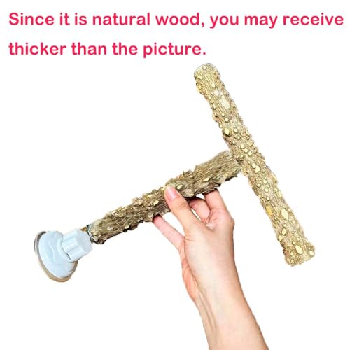 Natural Bird Perch Stand with Suction Cup for Window Mirror Car Shower Travel Bath Wood Perch Indoor Outdoor Wild Birds Small Medium Large Parrot Parakeet Cockatiel Concure Finch Lovebirds T Shape