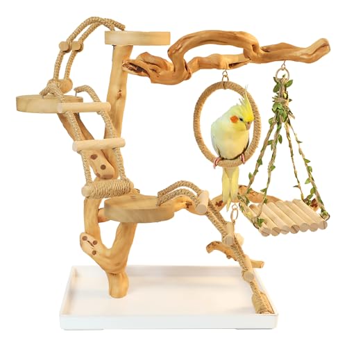 Natural Solid Wood Bird Perch Stand for Small & Medium Birds – Eco-Friendly, Sturdy Parrot Playstand with Hanging Toys & Rope Ring, Safe & Durable Bird Cage Accessory (WOOD-A1003) - color: WOOD-A1003