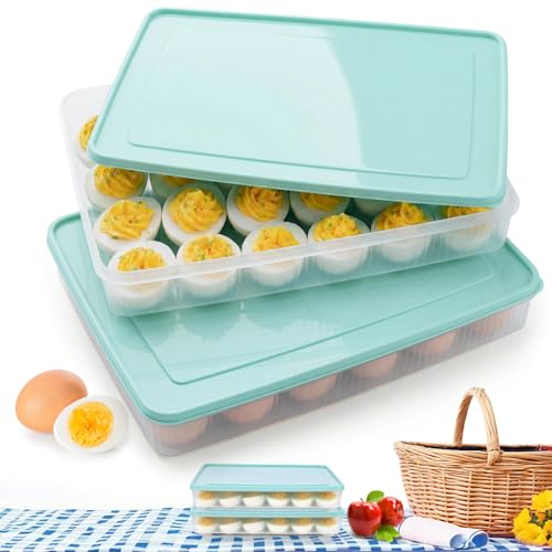 HAKSEN Deviled Egg Containers with Lid, (Set of 2), Deviled Egg Holder Tray Carrier for Refrigerator with 48 Holes, Fridge Stackable Kitchen Portable Countertop Storage