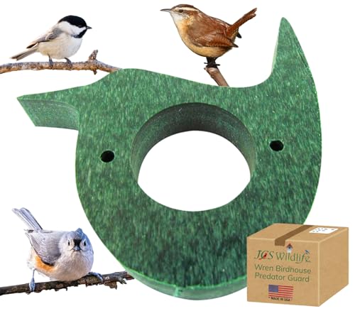 Recycled Poly Wren Portal Cover/Birdhouse Predator Guard (Green) - color: Green