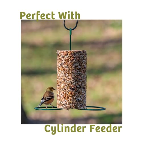 Birds Choice Bugs 'N Nuts Cylinder Seed | Wild Bird Food with Insects & Fruit | High-Energy Mix of Sunflower Hearts, Peanuts, Mealworms & Tree Nuts | High Protein & Bird Feed | 5.5 lbs (2-Pack) | High-Energy Mix of Sunflower Hearts, Peanuts, Mealworms and