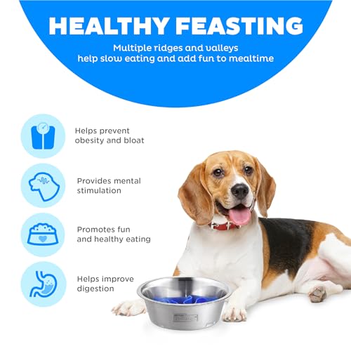 Outward Hound Fun Feeder Stainless-Steel Slo Bowl for Dogs – Medium 2‑Cup Capacity, Slow Feeding, Removable Puzzle Maze, Non-Slip, Fits Raised Feeding Platforms - color: Stainless Steel, size: Medium