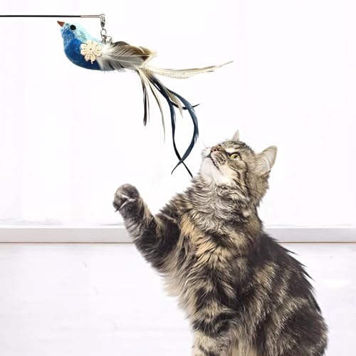 6 Pieces Cat Feather Toys Replacement Bird Cat Toy Wand Refills Cats Toy Replacement Natural Bird Feathers for Cats Toys - color: 6 Pcs Bird