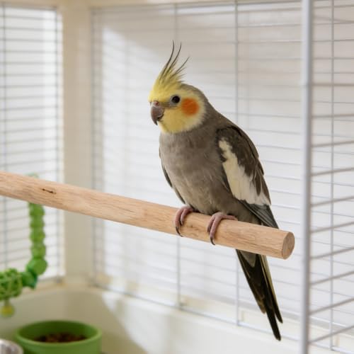 Kisangel Bird Cage Perches 5 Pack Natural Wood Parrot Perch Set with Built-in Bolts and Wing Nuts Claw Grinding Stand Toys for Parakeet Cockatiel Budgie Finch 11.81In Length