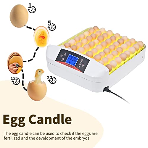 Egg Incubator ，56 Eggs Fully Automatic Egg Incubator with LED Lighting Automatic Turner and Intelligent Temperature Control， for Eggs/Duck Eggs/Bird Eggs/Goose Eggs Hatching