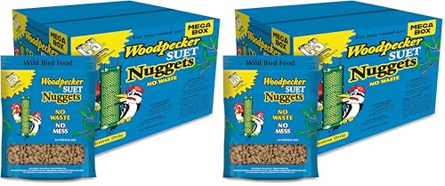 C&S Wild Bird Woodpecker Suet Nuggets Mega Box,8 Pounds,(Pack of 2) - size: 8 Pound (Pack of 2)