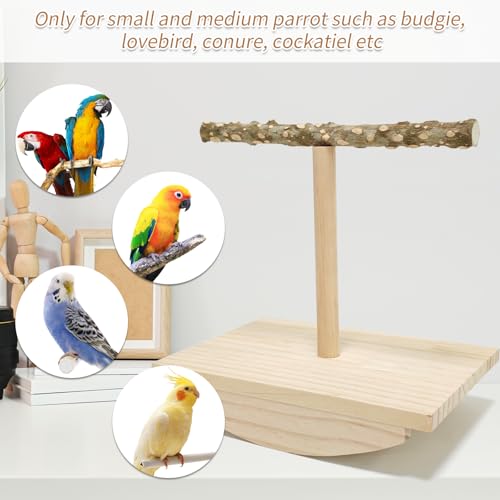 Natural Wood Bird Perch Stand, Rocking Perch for Bird Stand Swing(Large) | Intelligence Puzzle Training Wood Parrot Tumbler Toy,Playstand Birds Accessories for Parakeets,Cockatiels,Budgies,Conures - size: Large