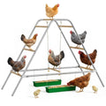 Large Multi-Level Chicken Perch Roosting Bars for 8-12 Chickens | LitaiL Wooden Chicken Perch with Swing, Rustproof Hardware Outdoor Coop Stand, Easy Assembly Backyard Chicken Accessories