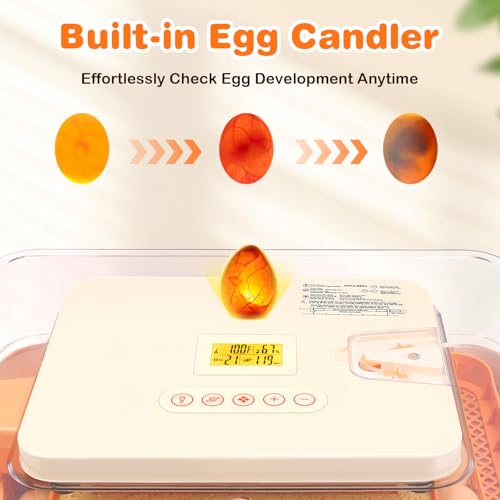 56 Egg Incubator, Incubator for Hatching Eggs with External Auto Water Refill, Auto Turner, LED Candler, Temperature Control, Incubator for Hatch Chick Duck Quail Poultry Home School Lab | with External Auto Water Refill, Auto Turner, LED Candler, Tempera