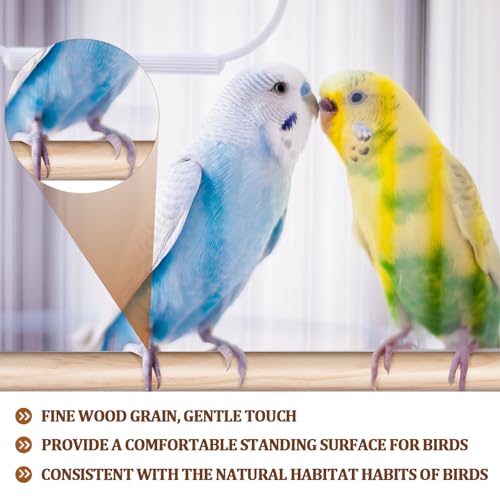Sintuff 8 Pcs Bird Perches for Cage Accessories, Wooden Perch Rods Replacement with Double Head Slots, 0.6 Inch Diameter Natural Wood Stand for Parrot Macaw Cockatoo Parakeet (24 Inches) - size: 24 Inches