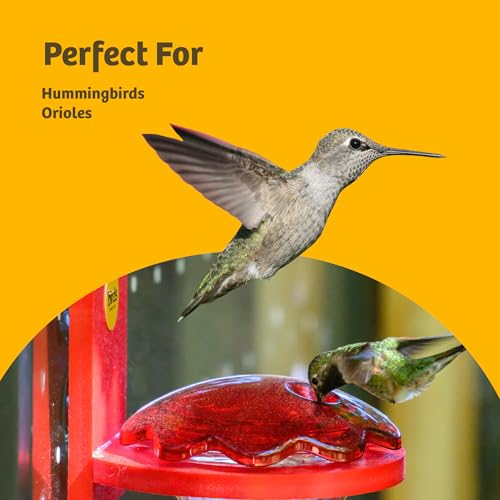 Birds Choice Hummingbird & Oriole Nectar | Pure & Healthy Sucrose Nectar for Birds | Easy Mix Concentrate | Natural Flower Sugar Alternative, No Additives | Safe for Feeders | 24 oz (3-Pack) | Sucrose-Based Easy Mix Concentrate, No Additives, Natural Flow