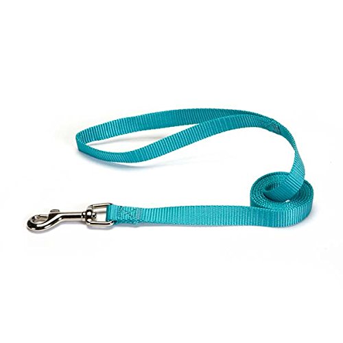 Zack & Zoey Basic Nylon Dog Leash, 4-Feet x 5/8-Inch Lead, Bluebird - color: Bluebird, size: 4-Feet x 5/8-Inch Lead