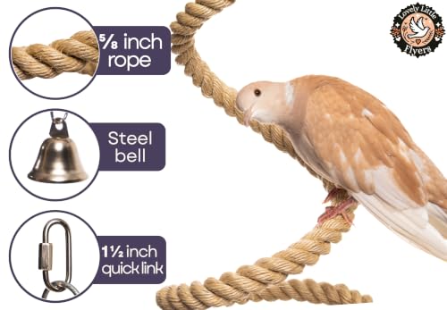 Boing Rope Perch for Parrots, Bendable Natural Sisal Spiral Hanging Bungee Perch with Stainless Steel Mount, Cotton Alternative Cage Accessory, Perch for Cockatiels, Parakeets, Doves, Budgies (6 ft)