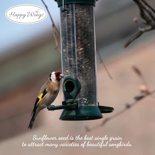 Happy Wings 10 LB Black Oil Sunflower Seeds Bird Food, No Waste Bird Seed | High in Oil & Protein, High Fat & Energy Content, USDA & BRC-GS Approved, Finches, Sparrows, Chickadees, Cardinals, No Mess - size: 5 Pound (Pack of 2)