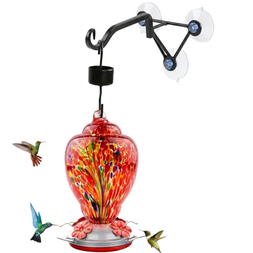 Hand Blown Glass Hummingbird Feeder with Heavy-Duty Metal Window Suction Cup Hangers Colorful Glass Bird Feeder and Window Hook with Accessories (Red)