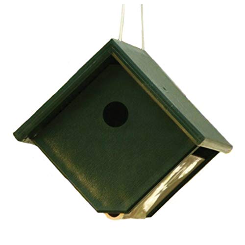 Recycled Plastic Wren House Hunter Ivory