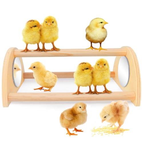 ALIBBON Mini Chicken Perch with Mirror Chick Strong Wooden Jungle Gym Roosting Bar Chicken Toys for Coop and Brooder Chick Training Perch for Large Bird Baby Chicks Parrot