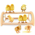 ALIBBON Mini Chicken Perch with Mirror Chick Strong Wooden Jungle Gym Roosting Bar Chicken Toys for Coop and Brooder Chick Training Perch for Large Bird Baby Chicks Parrot
