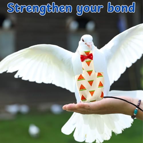 Birds Pigeon Diaper Pants Harness and Leash, Bird Diapers for Pigeons and Leash Harness, Diapers for Birds Cockatiel Parrot, Parakeet Diaper, Pigeon Pants, Parrot Clothes for Bird (XL-Watermelon) - size: XL-Watermelon