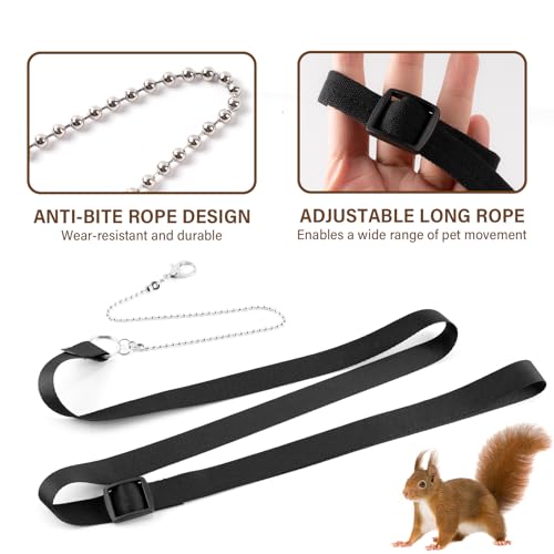 3Pcs Rat Harness and Leash, Small Animal Training Walking Vest Leash Adjustable Traction Rope Strap for Squirrel Gerbil Chinchilla Rat (Black) - color: Black
