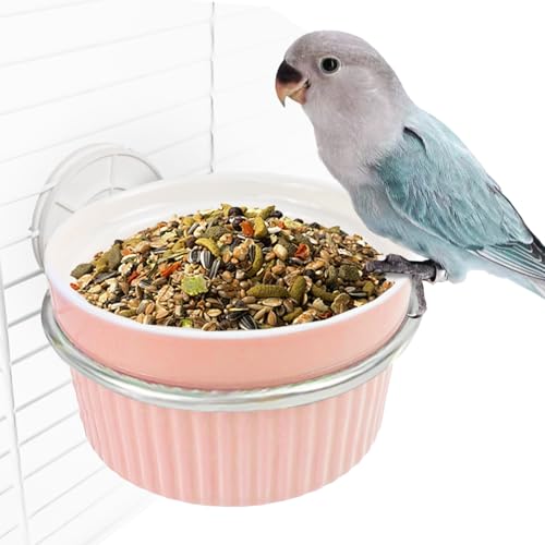 Bird Cage Feeder Parrot Food Cage Bowl Clamp Holder Coop Cup, Ceramic Bird Cage Water Bowl, Pet Feeder Cage for Parakeet African Greys Conure Cockatiels Lovebird Budgie Chinchilla-Pink - color: pink